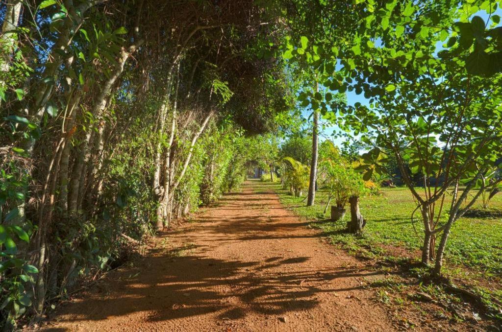 Happy Man Village เบนโตตา ภายนอก รูปภาพ